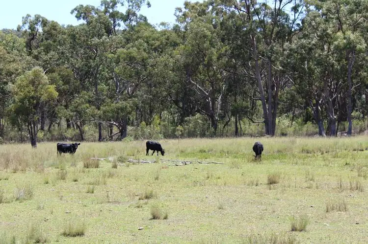 Fifth view of Homely land listing, 1679 Eukey Road, Eukey QLD 4380