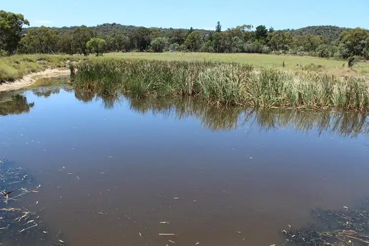 Seventh view of Homely land listing, 1679 Eukey Road, Eukey QLD 4380