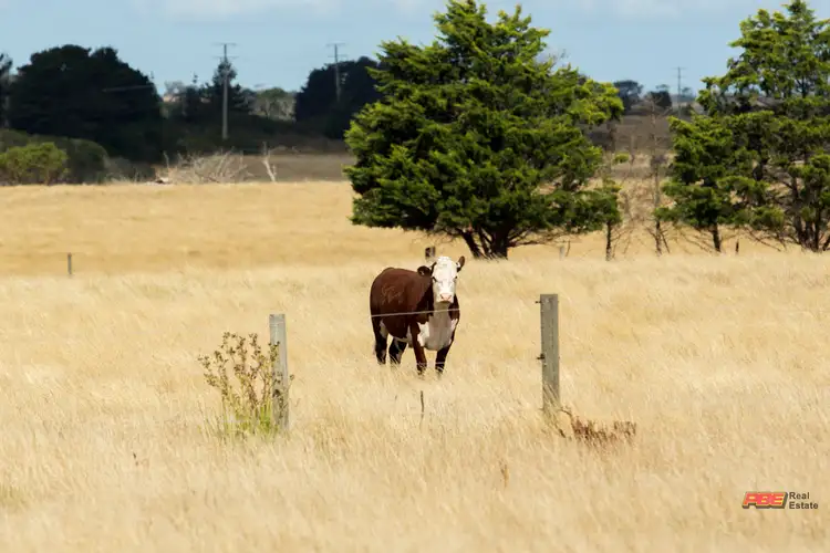 Fifth view of Homely land listing, Lot 195 Powlett Ridge Estate, Wonthaggi VIC 3995