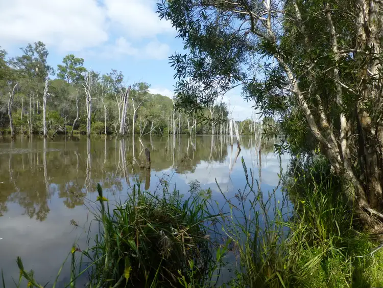 Main view of Homely rural property listing, LOT 2 WOODGATE ROAD, Woodgate QLD 4660