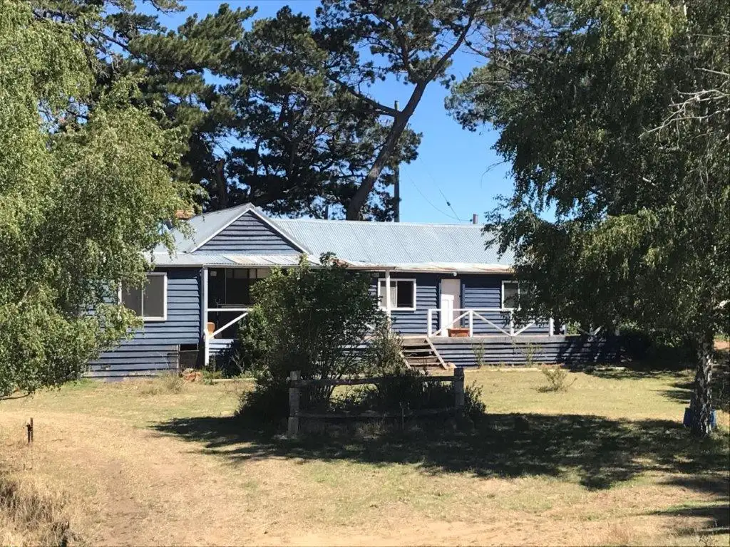 Main view of Homely house listing, 272 Blackburn Creek Road, Dalgety NSW 2628