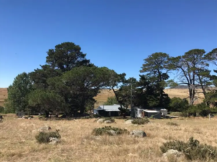 Fifth view of Homely house listing, 272 Blackburn Creek Road, Dalgety NSW 2628