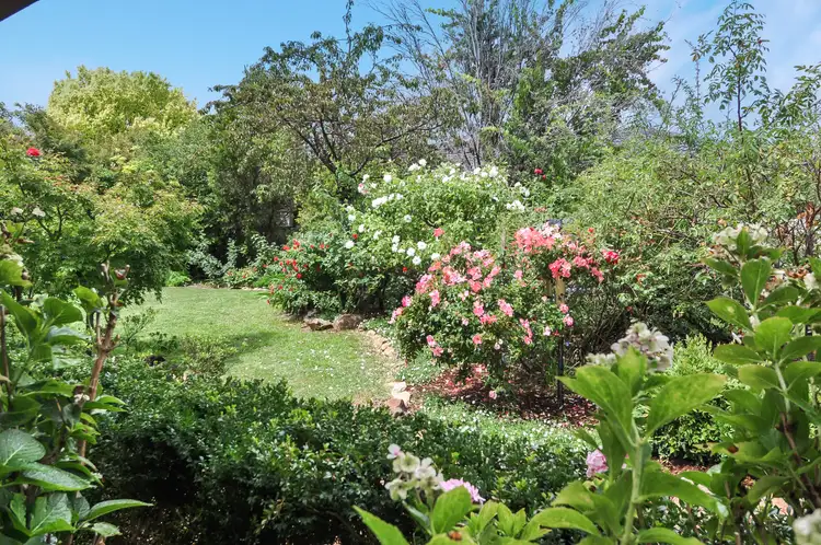 Second view of Homely house listing, 53 Opperman Way, Windradyne NSW 2795