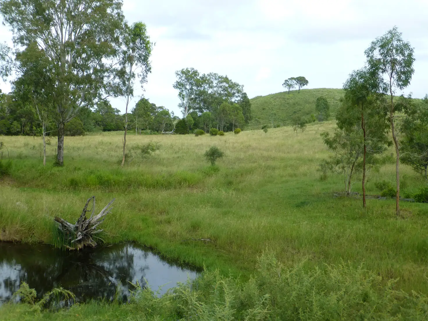 Main view of Homely rural property listing, Address available on request