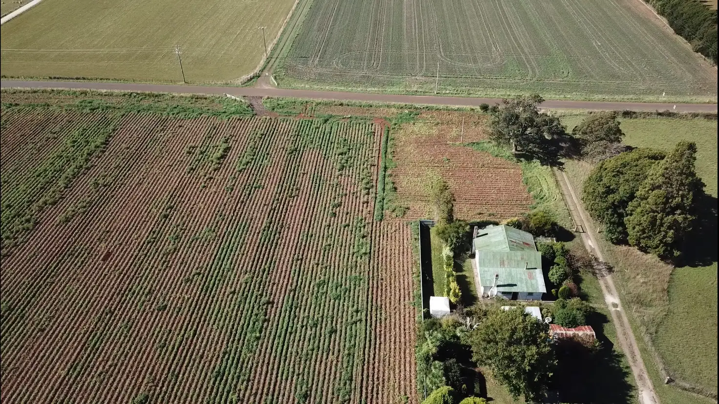 Main view of Homely house listing, 61 West Minstone Road, Scottsdale TAS 7260