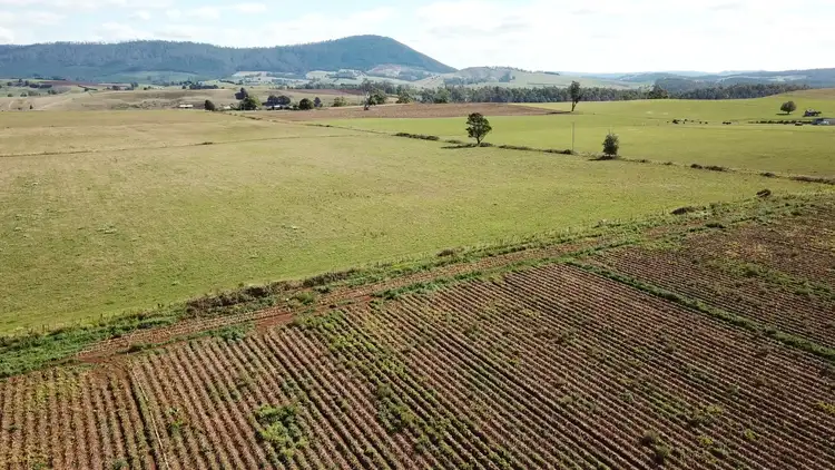 Second view of Homely house listing, 61 West Minstone Road, Scottsdale TAS 7260