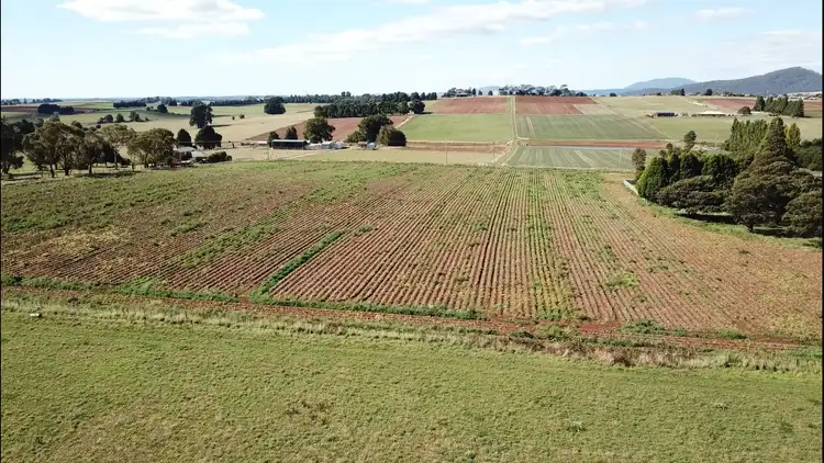 Fourth view of Homely house listing, 61 West Minstone Road, Scottsdale TAS 7260