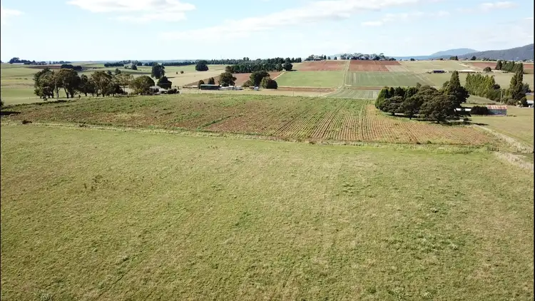 Fifth view of Homely house listing, 61 West Minstone Road, Scottsdale TAS 7260