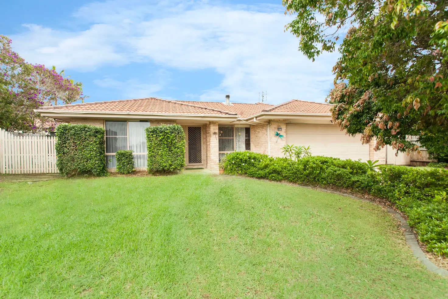 Main view of Homely house listing, 16 Gwalia Close, Medowie NSW 2318