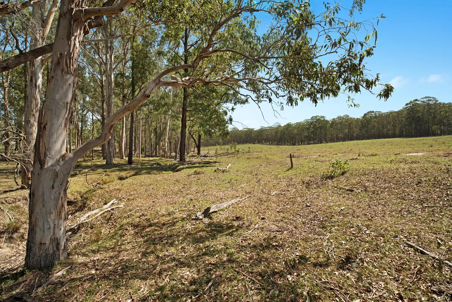 Main view of Homely rural property listing, 11 Notts Lane, Glen Oak NSW 2320