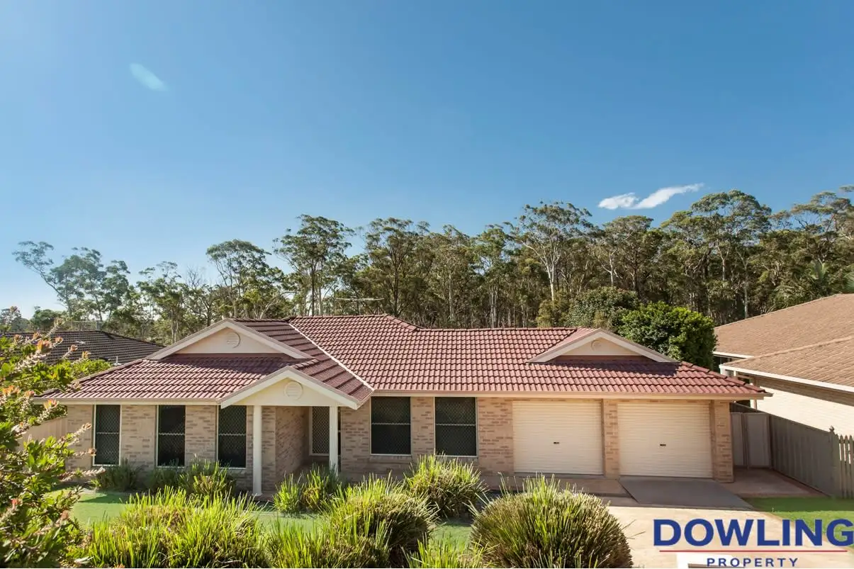 Main view of Homely house listing, 11 Dangar Circuit, Medowie NSW 2318