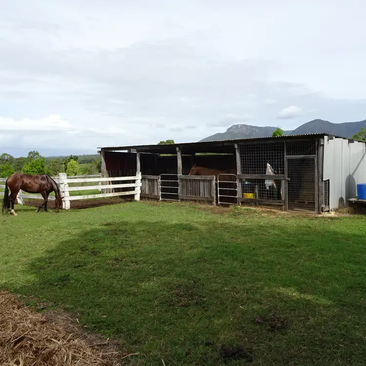 Sixth view of Homely rural property listing, 76 BLUFF VIEW ROAD, Biggenden QLD 4621