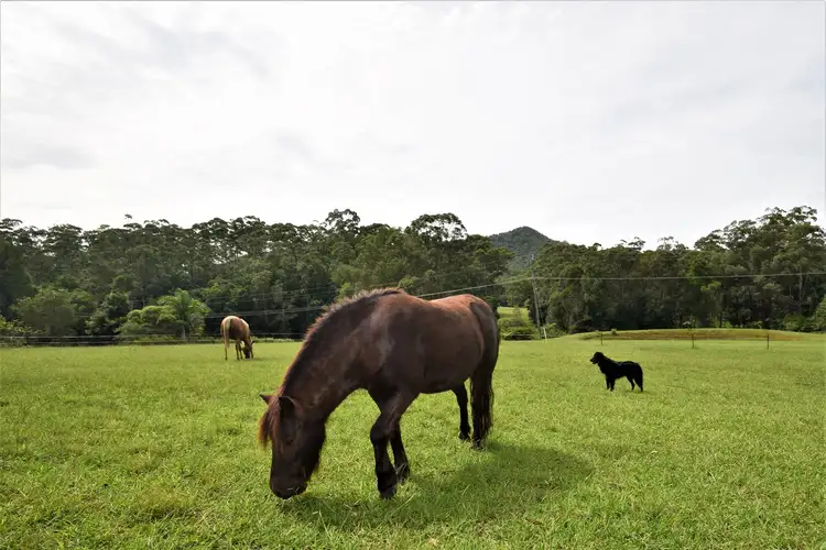 Second view of Homely house listing, 190 Sullivans Rd, Valla NSW 2448