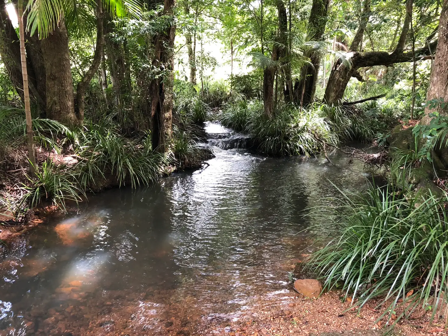 Main view of Homely land listing, 104 Smith Road, Mapleton QLD 4560