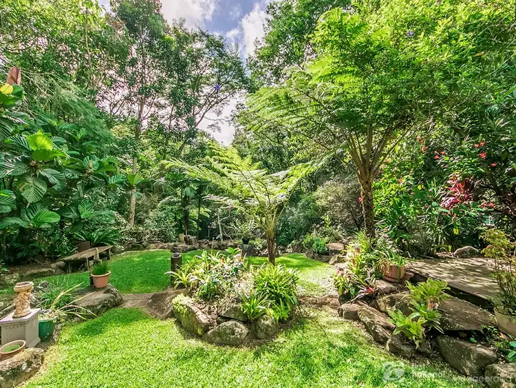Fourth view of Homely house listing, 2293 Springbrook Road, Springbrook QLD 4213