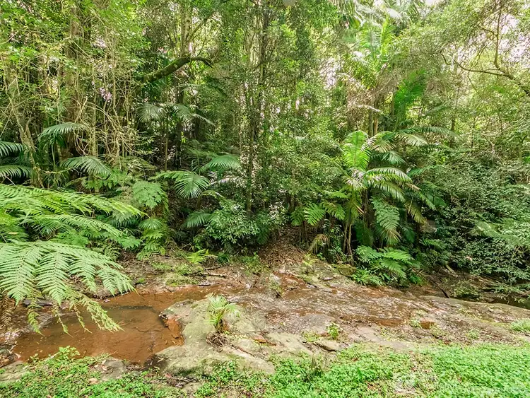 Fifth view of Homely house listing, 2293 Springbrook Road, Springbrook QLD 4213