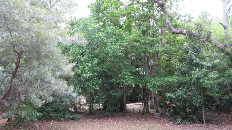 Main view of Homely house listing, 6 Olympus Crescent, Arcadia QLD 4819