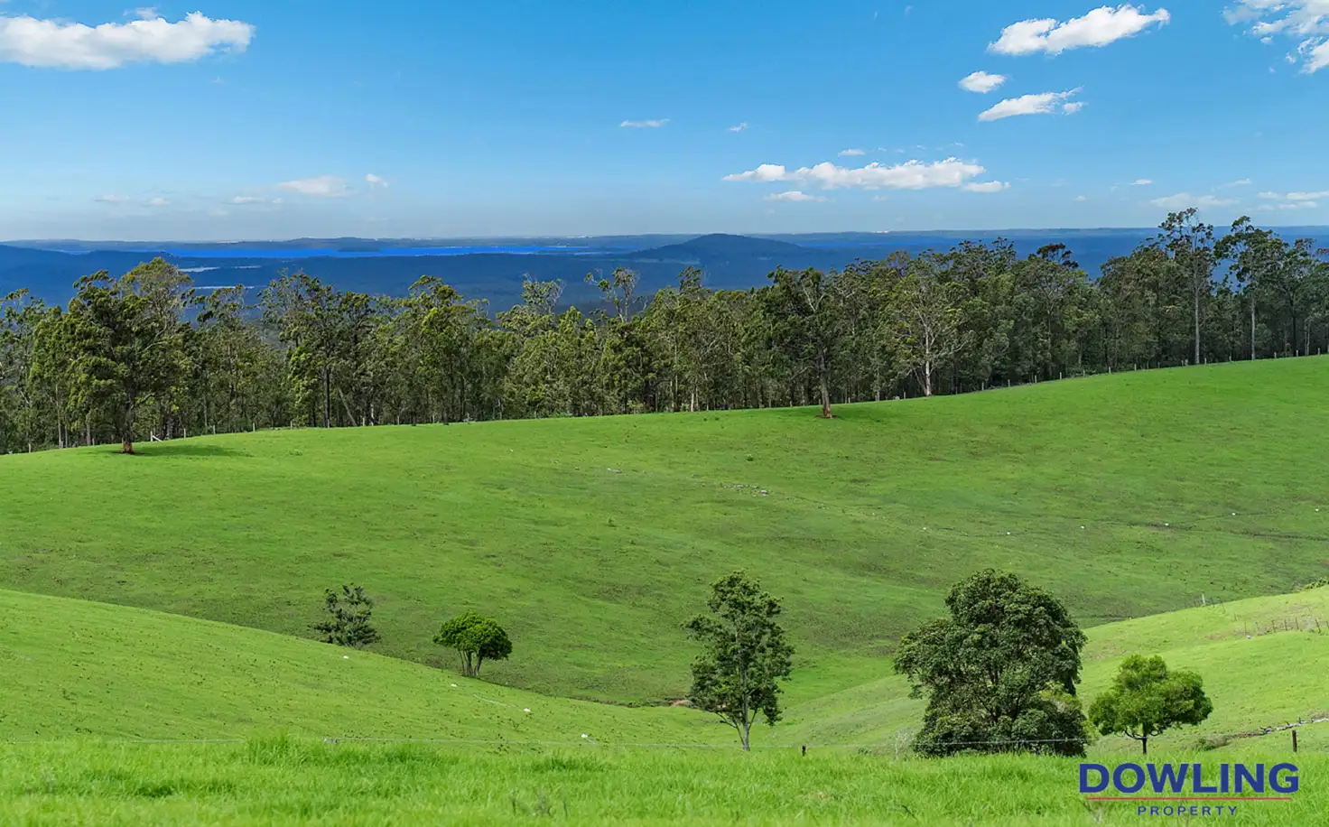 Main view of Homely rural property listing, 1467 Ebsworth Road, Glen Martin NSW 2321