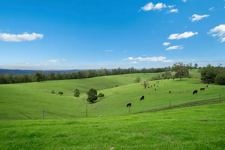 Third view of Homely rural property listing, 1467 Ebsworth Road, Glen Martin NSW 2321