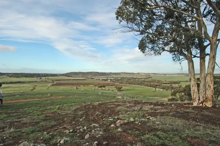 Main view of Homely rural property listing, 101 WESTDALE RD, Beverley WA 6304