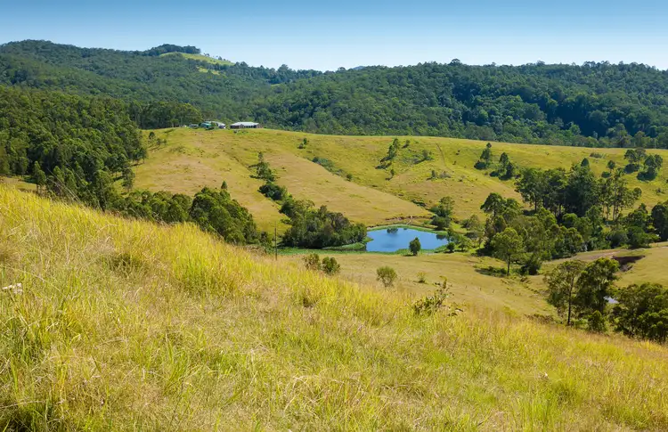 Third view of Homely rural property listing, 937 Flat Tops Road Cambra Via, Dungog NSW 2420