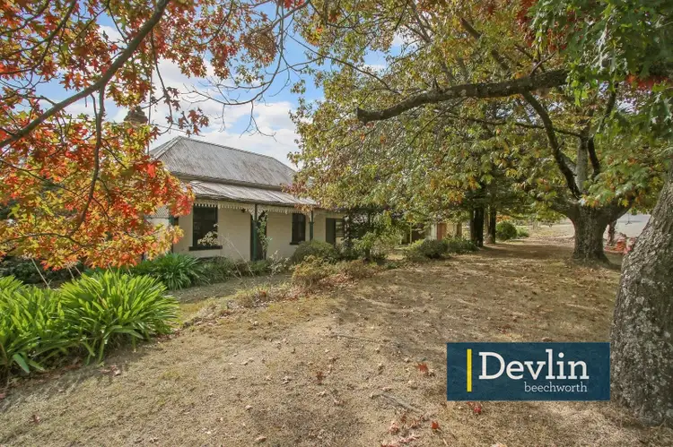 Main view of Homely house listing, 53 Last Street, Beechworth VIC 3747