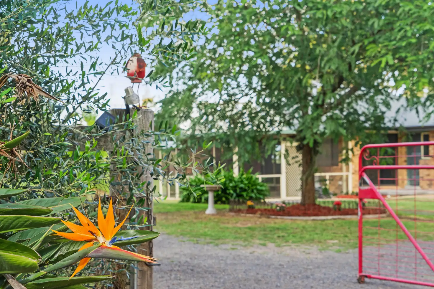 Main view of Homely rural property listing, 1392 Paterson Road, Duns Creek NSW 2321
