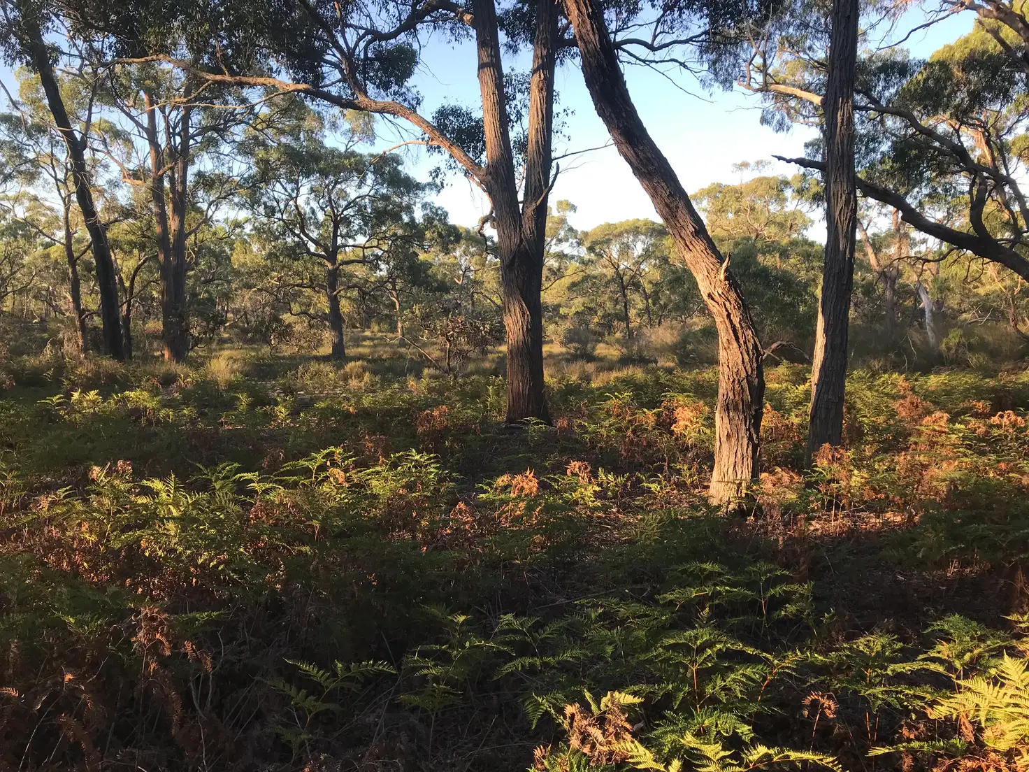 Main view of Homely rural property listing, CA 24 & 25 Sinclairs Road, Munro VIC 3862