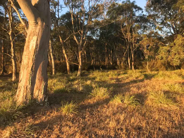 Sixth view of Homely rural property listing, CA 24 & 25 Sinclairs Road, Munro VIC 3862