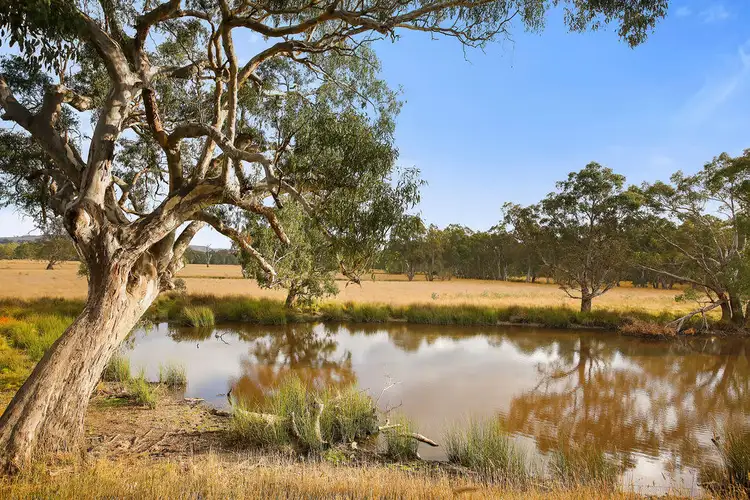 Main view of Homely rural property listing, 161 Killingworth West Road, Yea VIC 3717
