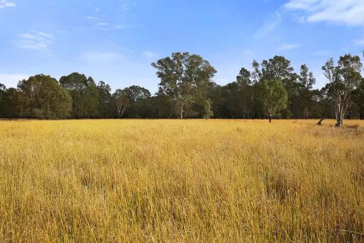 Third view of Homely rural property listing, 161 Killingworth West Road, Yea VIC 3717