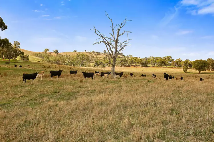 Fifth view of Homely rural property listing, 161 Killingworth West Road, Yea VIC 3717