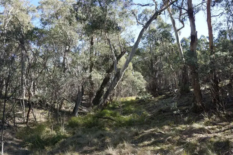 Third view of Homely land listing, 205 and 206 Foggy Forest Drive, Anembo NSW 2621