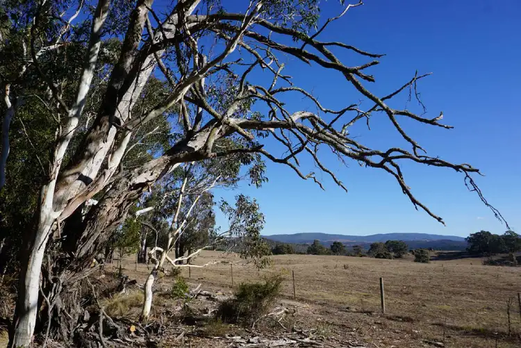 Fourth view of Homely land listing, 205 and 206 Foggy Forest Drive, Anembo NSW 2621