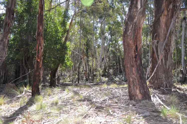 Fifth view of Homely land listing, 205 and 206 Foggy Forest Drive, Anembo NSW 2621