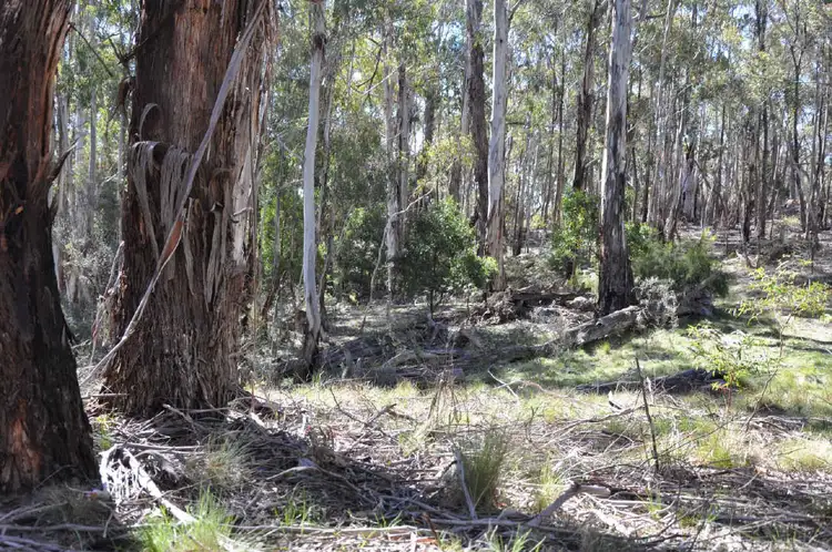 Sixth view of Homely land listing, 205 and 206 Foggy Forest Drive, Anembo NSW 2621
