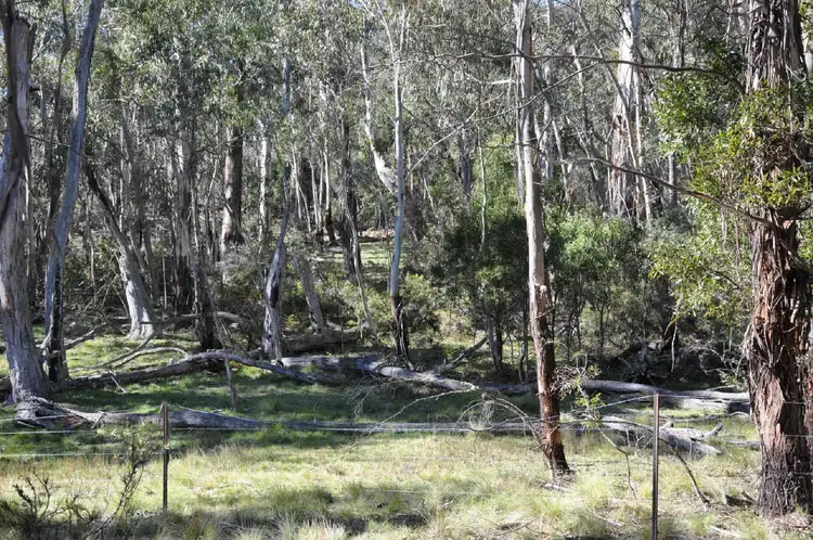 Seventh view of Homely land listing, 205 and 206 Foggy Forest Drive, Anembo NSW 2621