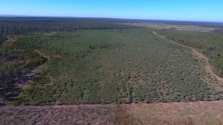 Fourth view of Homely rural property listing, 2138 Burra Burri Creek, Jandowae QLD 4410