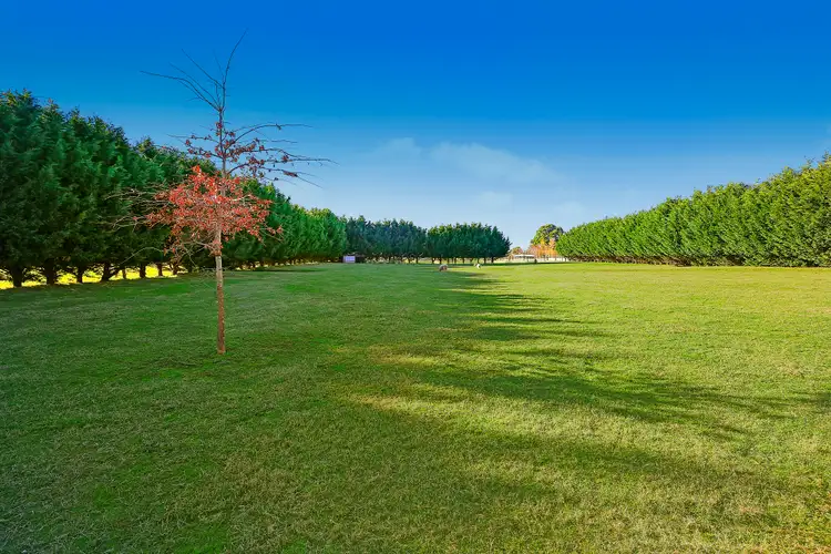 Second view of Homely house listing, 29 Elvin Drive, Kinglake VIC 3763