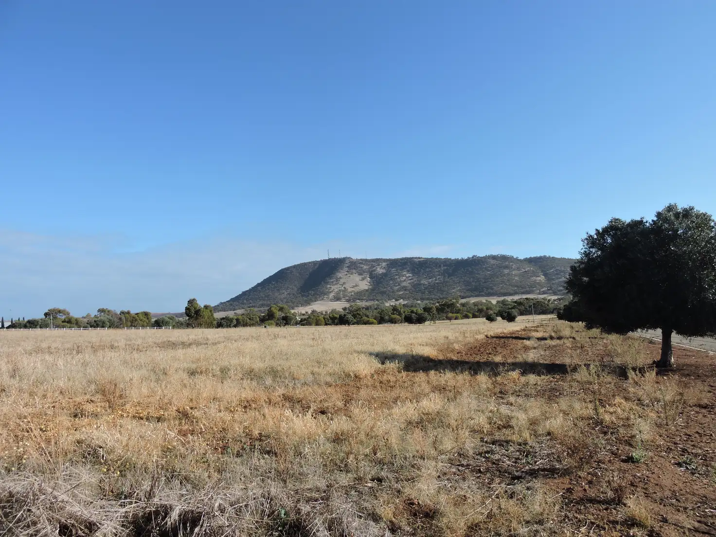 Main view of Homely land listing, LOT 71 FORMAN ROAD, York WA 6302