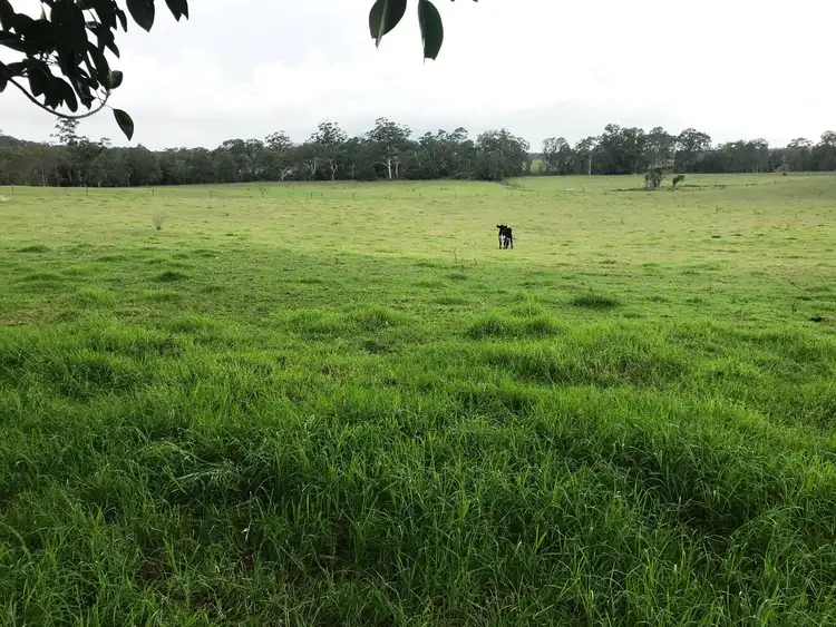 Third view of Homely rural property listing, 26 Langlands Road, Glen Oak NSW 2320