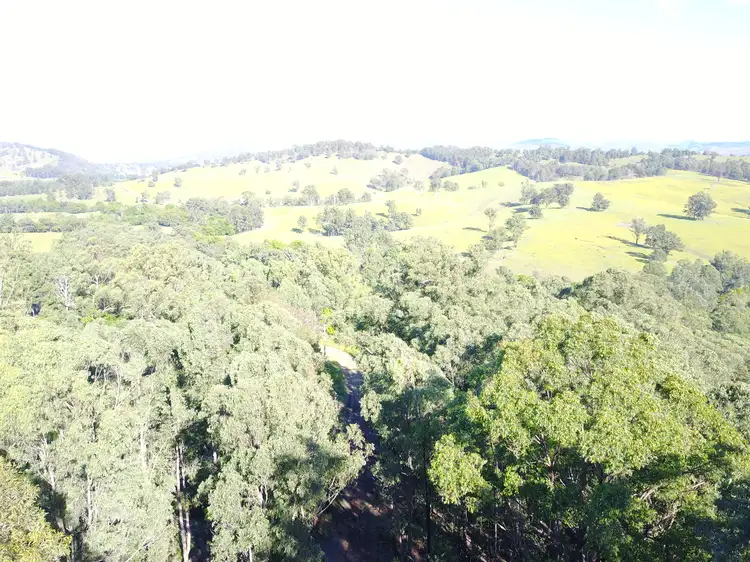 Second view of Homely rural property listing, 80 Orange Grove Road, FOSTERTON Via, Dungog NSW 2420