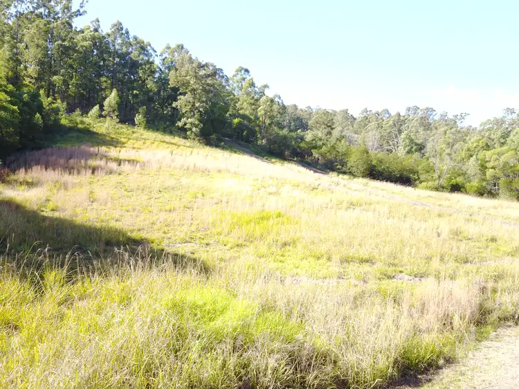 Third view of Homely rural property listing, 80 Orange Grove Road, FOSTERTON Via, Dungog NSW 2420