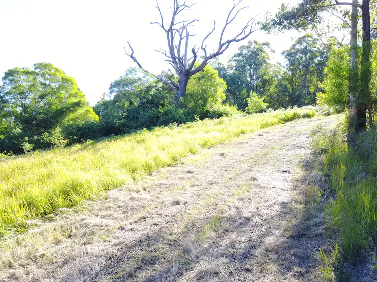 Seventh view of Homely rural property listing, 80 Orange Grove Road, FOSTERTON Via, Dungog NSW 2420