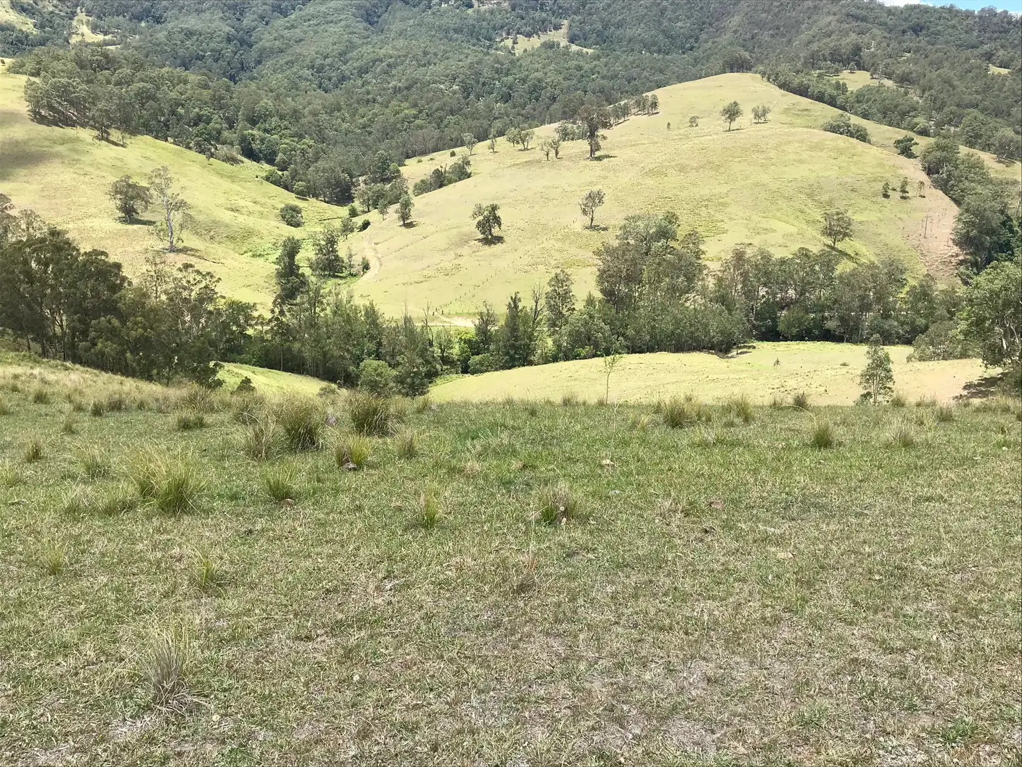 Main view of Homely rural property listing, 545 Masseys Creek Road, Eccleston Via, East Gresford NSW 2311