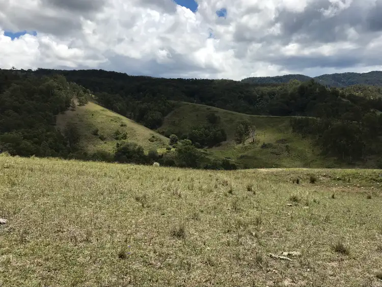 Third view of Homely rural property listing, 545 Masseys Creek Road, Eccleston Via, East Gresford NSW 2311