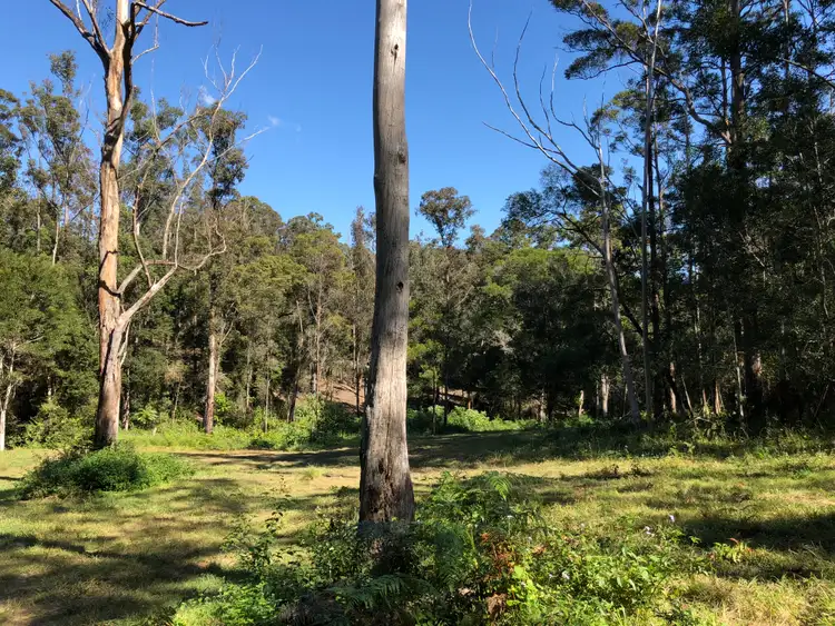 Fifth view of Homely land listing, 693 Obi Obi Road, Obi Obi QLD 4574