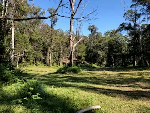 Seventh view of Homely land listing, 693 Obi Obi Road, Obi Obi QLD 4574