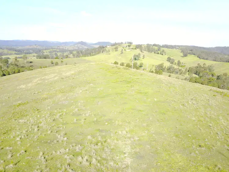 Second view of Homely rural property listing, 161 Germons Road, Dungog NSW 2420