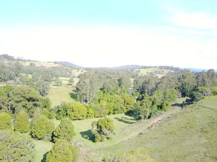Third view of Homely rural property listing, 161 Germons Road, Dungog NSW 2420
